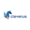 Cleverus  Logo